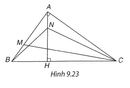 Giải bài 6 trang 103 vở thực hành Toán 8 tập 2 2