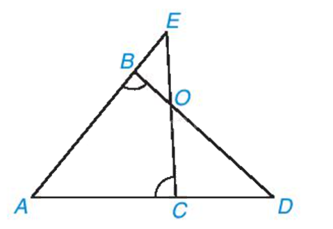 Giải bài 6 trang 104 vở thực hành Toán 8 tập 2 1