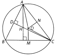 Giải bài 6 trang 113 vở thực hành Toán 9 tập 2 2