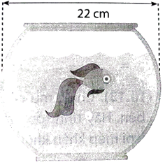 Giải bài 6 trang 121 vở thực hành Toán 9 tập 2 1