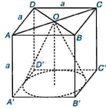 Giải bài 6 trang 127 vở thực hành Toán 9 tập 2 1