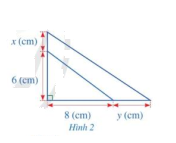 Giải bài 6 trang 17 SGK Toán 8 tập 1 - Cánh diều 1