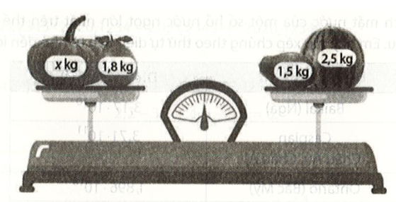 Giải bài 6 trang 18 vở thực hành Toán 7 1