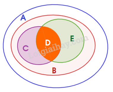 Giải bài 6 trang 27 SGK Toán 10 tập 1 – Chân trời sáng tạo 2