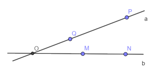 Giải bài 6 trang 44 vở thực hành Toán 6 1