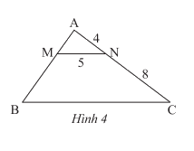 Giải bài 6 trang 58 SGK Toán 8 tập 2– Chân trời sáng tạo 1