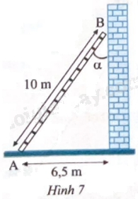 Giải bài 6 trang 68 sách bài tập toán 9 - Chân trời sáng tạo tập 1 1