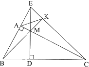 Giải bài 6 trang 75 sách bài tập toán 8 - Chân trời sáng tạo tập 2 2