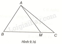 Giải bài 6 trang 75 vở thực hành Toán 7 tập 2 2