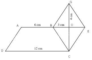 Giải bài 6 trang 76 Sách bài tậpToán 6 – Chân trời sáng tạo 1