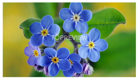 Giải bài 6 trang 77 sách bài tập Toán 6 - Chân trời sáng tạo Tập 2 2