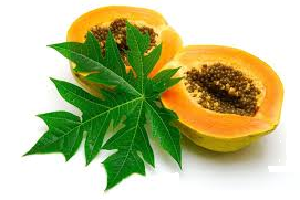 Giải bài 6 trang 77 sách bài tập Toán 6 - Chân trời sáng tạo Tập 2 3