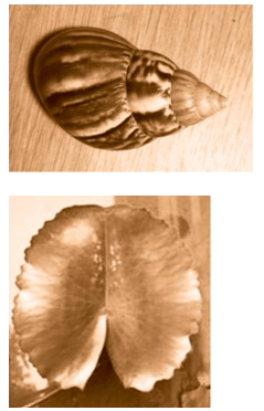 Giải bài 6 trang 79 sách bài tập Toán 6 - Chân trời sáng tạo Tập 2 1