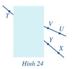 Giải bài 6 trang 79 SGK Toán 6 Cánh diều 1
