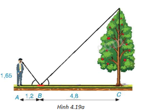Giải bài 6 trang 81 vở thực hành Toán 9 1