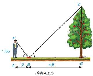 Giải bài 6 trang 81 vở thực hành Toán 9 3