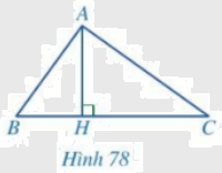 Giải bài 6 trang 82 SGK Toán 8 – Cánh diều 1