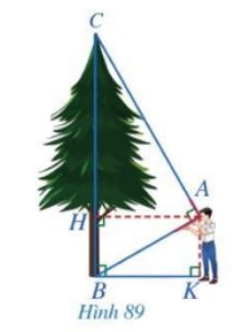 Giải bài 6 trang 85 SGK Toán 8 – Cánh diều 1