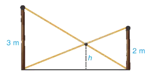 Giải bài 6 trang 88 vở thực hành Toán 8 tập 2 1