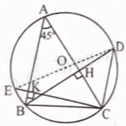 Giải bài 6 trang 93 sách bài tập toán 9 - Chân trời sáng tạo tập 1 2