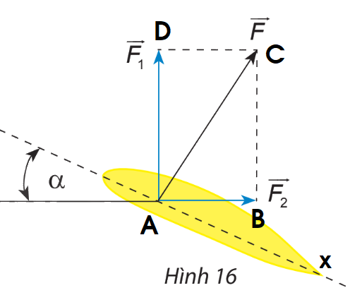 Giải bài 6 trang 93 SGK Toán 10 tập 1 – Chân trời sáng tạo 2