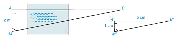 Giải bài 6 trang 98 vở thực hành Toán 8 tập 2 1