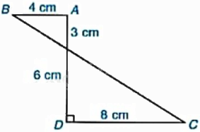 Giải bài 6 trang118 vở thực hành Toán 9 tập 2 1