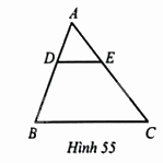 Giải bài 61 trang 83 sách bài tập toán 8 – Cánh diều 1