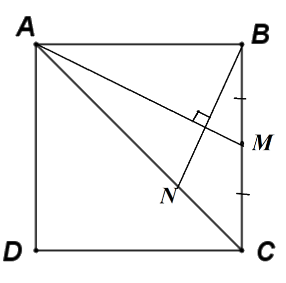 Giải bài 64 trang 106 SBT toán 10 - Cánh diều 2