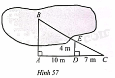 Giải bài 64 trang 84 sách bài tập toán 8 – Cánh diều 1