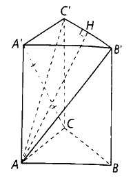 Giải bài 7.31 trang 38 sách bài tập toán 11 - Kết nối tri thức với cuộc sống 2