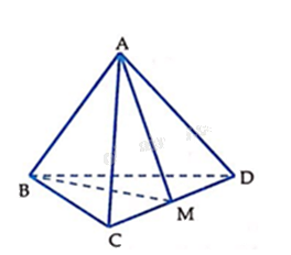 Giải bài 7.45 trang 42 sách bài tập toán 11 - Kết nối tri thức với cuộc sống 2