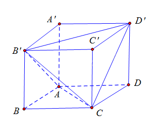 Giải bài 7.49 trang 42 sách bài tập toán 11 - Kết nối tri thức với cuộc sống 2