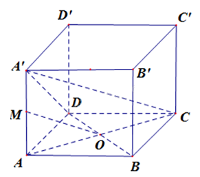 Giải bài 7.50 trang 42 sách bài tập toán 11 - Kết nối tri thức với cuộc sống 2
