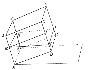 Giải bài 7.56 trang 43 sách bài tập toán 11 - Kết nối tri thức với cuộc sống 3
