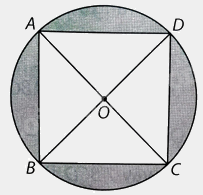 Giải bài 7 trang 100, 101 vở thực hành Toán 9 tập 2 2