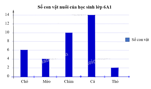 Giải bài 7 trang 104 sách bài tập Toán 6 – Chân trời sáng tạo 2