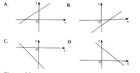 Giải bài 7 trang 18 sách bài tập toán 8 - Chân trời sáng tạo tập 2 1