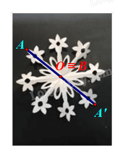 Giải bài 7 trang 25 Chuyên đề học tập Toán 11 Chân trời sáng tạo 3