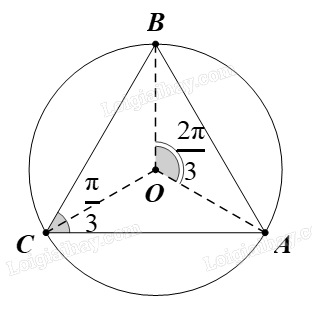 Giải bài 7 trang 41 Chuyên đề học tập Toán 11 Chân trời sáng tạo 2