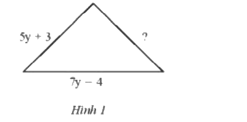Giải bài 7 trang 42 SGK Toán 7 tập 2 - Chân trời sáng tạo 1