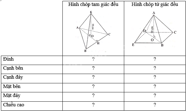 Giải bài 7 trang 45 sách bài tập toán 8 - Chân trời sáng tạo 1