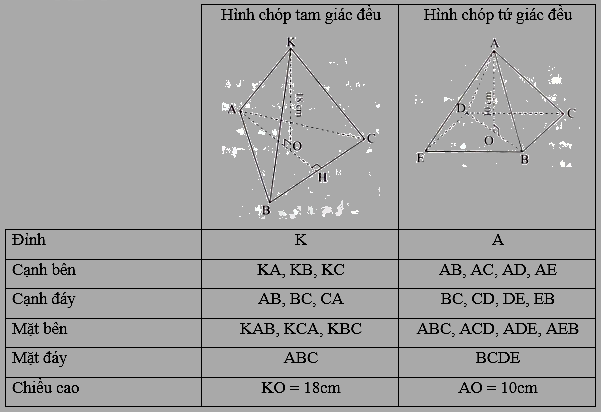 Giải bài 7 trang 45 sách bài tập toán 8 - Chân trời sáng tạo 5