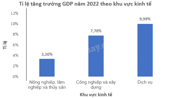 Giải bài 7 trang 49 vở thực hành Toán 9 tập 2 3