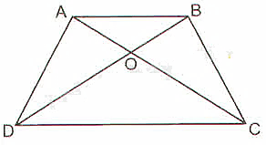 Giải bài 7 trang 51 SGK Toán 8 tập 2– Chân trời sáng tạo 2
