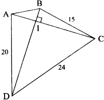 Giải bài 7 trang 57 sách bài tập toán 8 - Chân trời sáng tạo 2