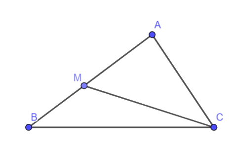 Giải bài 7 trang 57 vở thực hành Toán 6 Q2 1