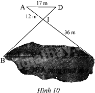 Giải bài 7 trang 60 sách bài tập toán 8 - Chân trời sáng tạo tập 2 1