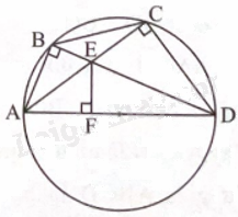 Giải bài 7 trang 82 sách bài tập toán 9 - Chân trời sáng tạo tập 2 2