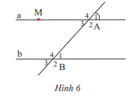Giải bài 7 trang 87 SGK Toán 7 tập 1 - Chân trời sáng tạo 1